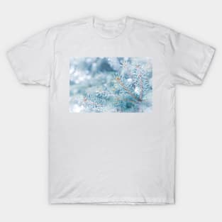 Snowy Winter Evergreen Forest Branches T-Shirt